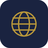 icon globe