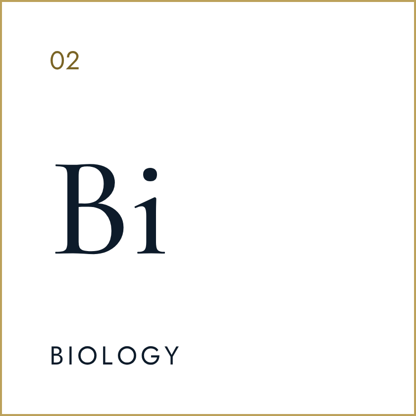 elemental tile biology